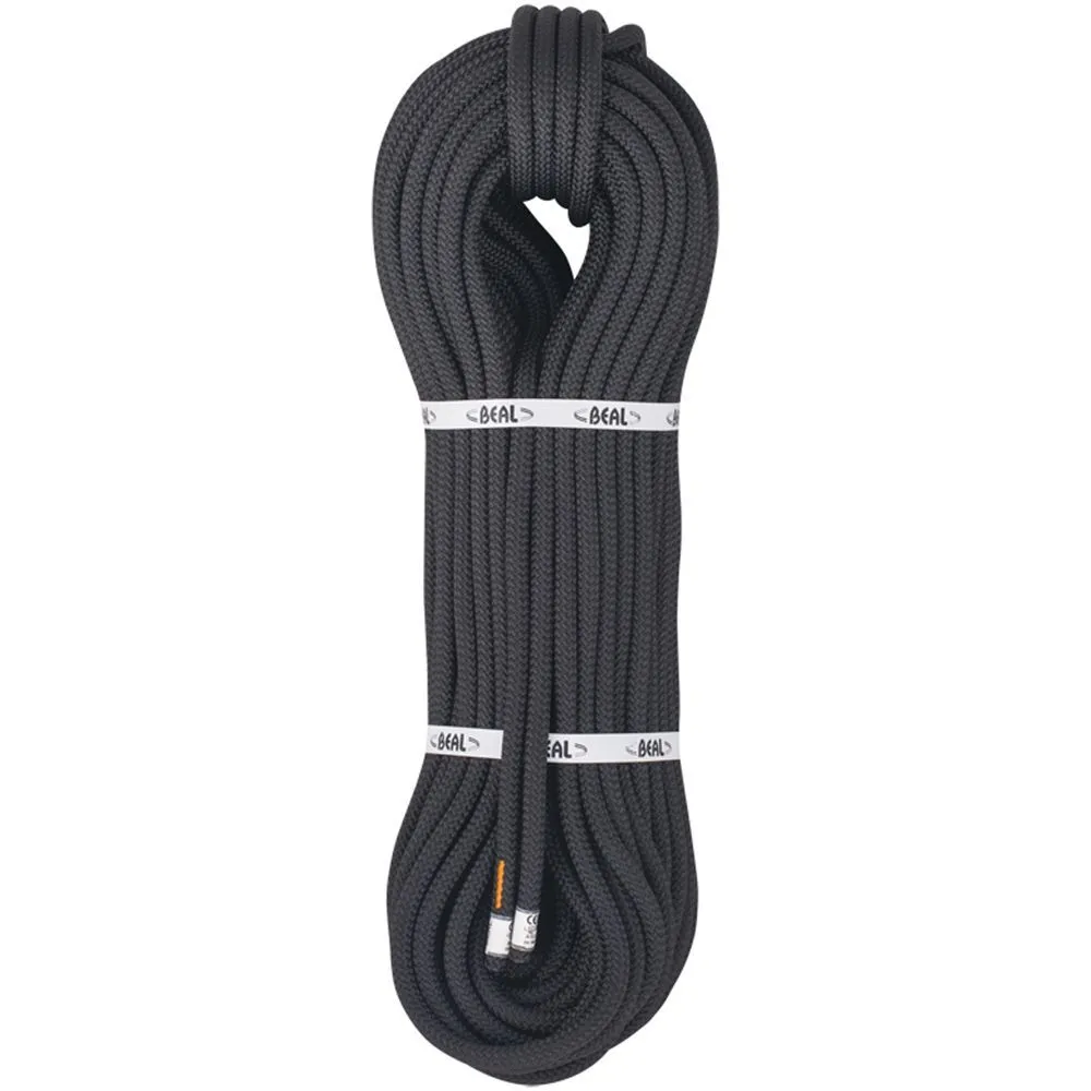 Beal Intervention Static Rope