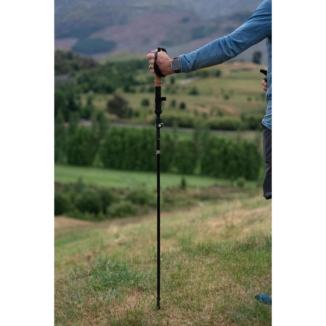 Black Peak Cork Handle Hiking Pole (single)
