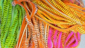 Tiger Barred 1/8" Rabbit STrips