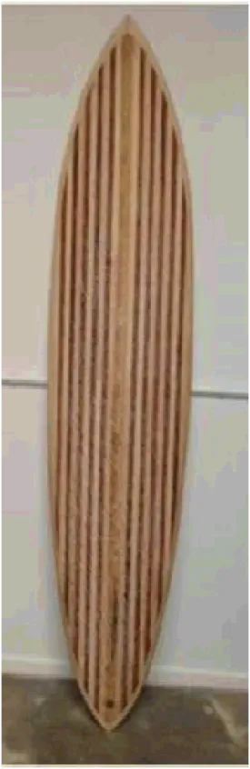 Wood Surfboard Kit - The Chameleon